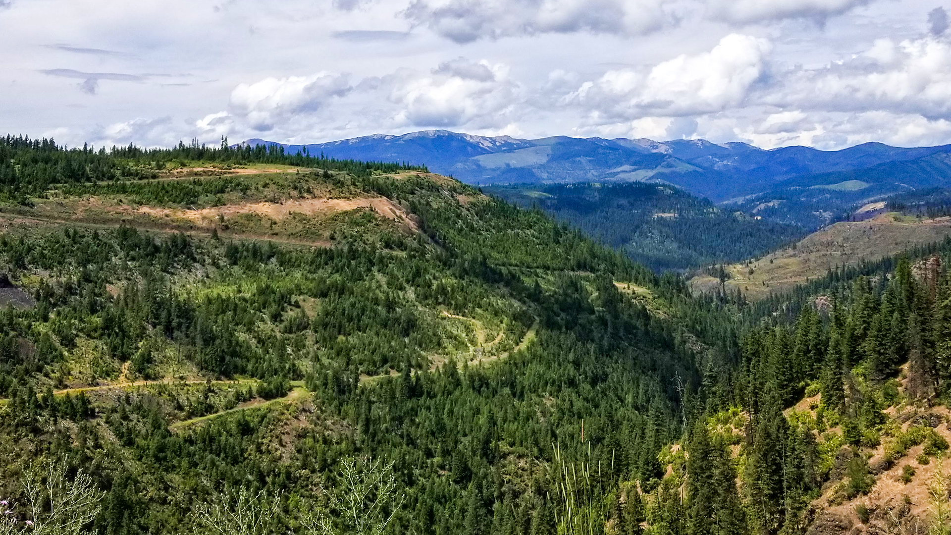 North Idaho Trail Ride at the St. Joe River The SXS Guys